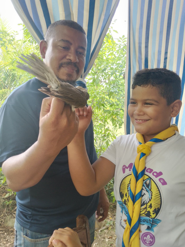conservación de aves