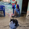 Bienestar animal y resiliencia: La labor transformadora de Sembrando Huellas en Barquisimeto