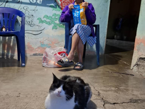 Bienestar animal y resiliencia: La labor transformadora de Sembrando Huellas en Barquisimeto