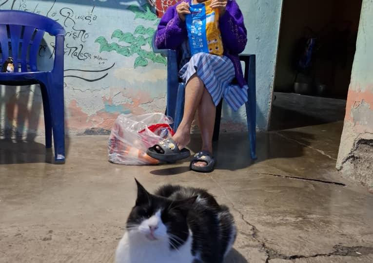 Bienestar animal y resiliencia: La labor transformadora de Sembrando Huellas en Barquisimeto