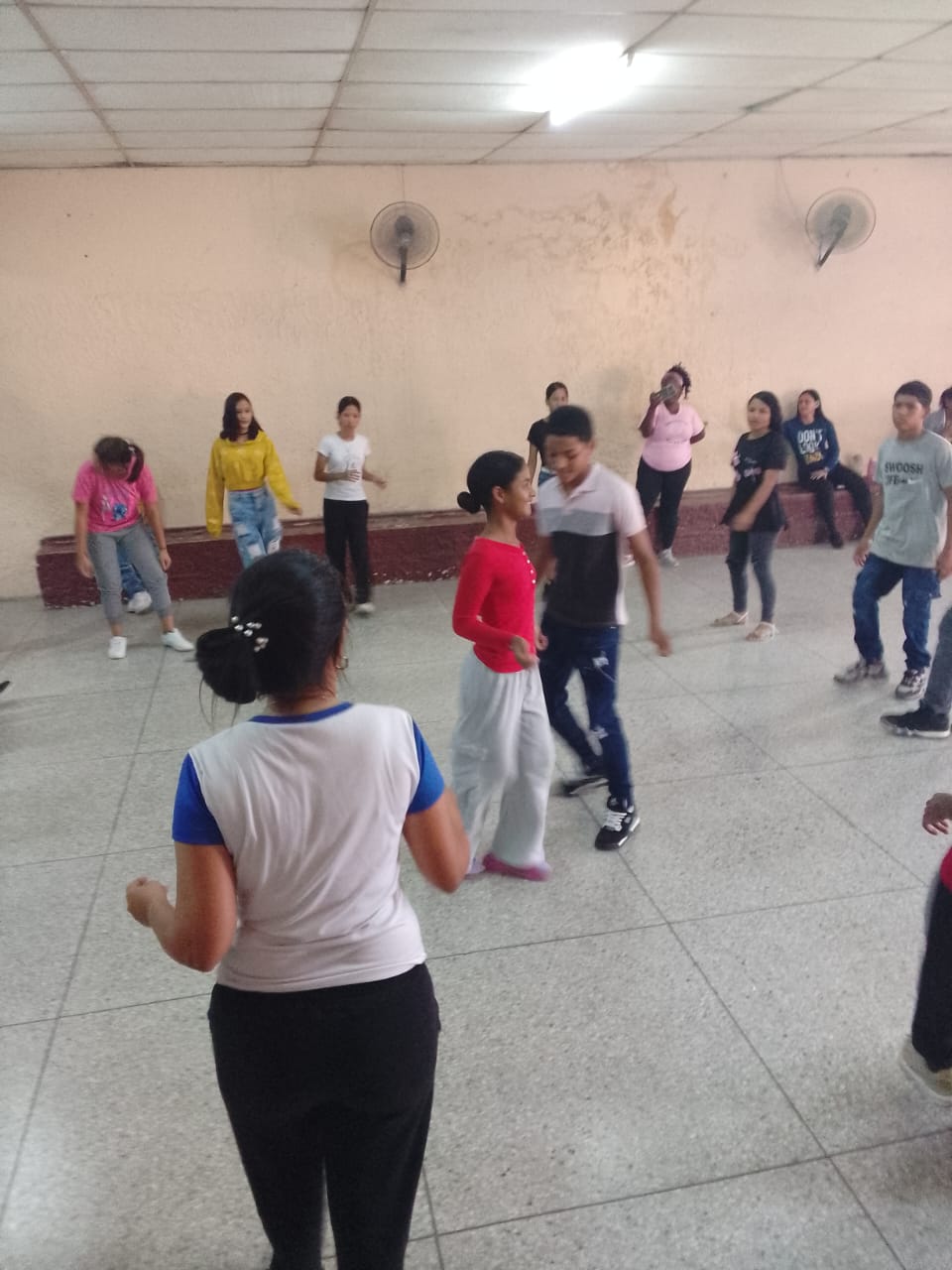 Alianza entre Danzas Folklóricas San Vicente y Liceo Antonio García Rojo fortalece la identidad tradicional